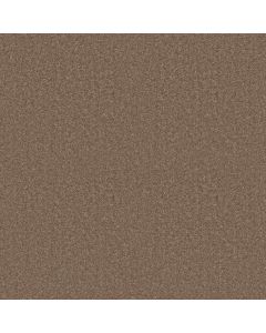Shaw DYERSBURG II 15' Driftwood Carpet - SH-53856-55720