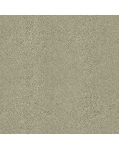Shaw EMBARK Haven Carpet - SH-5506G-00309