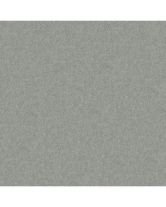 Shaw EMBARK Drizzle Carpet - SH-5506G-00414