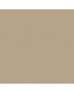 Shaw DEPARTURE Linen Carpet - SH-5510G-00101