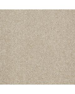 Shaw CANVAS Frost Carpet - SH-5518G-00104