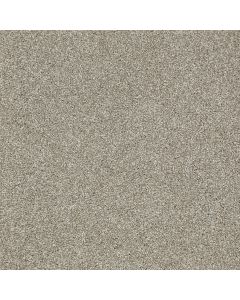 Shaw CANVAS Gray Flannel Carpet - SH-5518G-00511