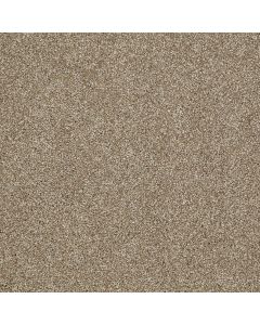 Shaw CANVAS Prairie Carpet - SH-5518G-00710