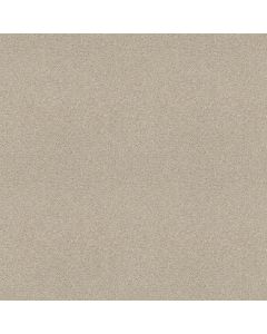 Shaw CHALLENGE ACCEPTED I 12' Fresco Carpet - SH-5522G-00100
