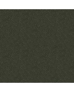 Shaw CHALLENGE ACCEPTED I 12' Aspen Carpet - SH-5522G-00302