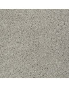 Shaw INSPIRED BY III Textured Canvas Carpet - SH-5562G-00150