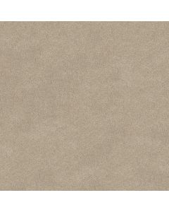Shaw INSPIRED BY III Bare Essence Carpet - SH-5562G-00151