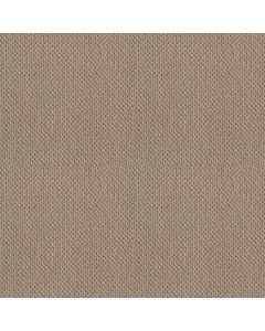 Shaw SUBTLE SHIMMER LOOP Latte Carpet - SH-5568G-00152