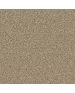 Shaw PREMIER ROLE Gallery Carpet - SH-5571G-00103