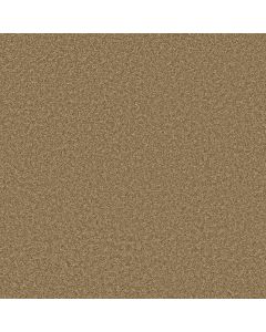 Shaw PREMIER ROLE Reed Carpet - SH-5571G-00201