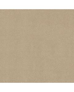 Shaw PERFECTLY TIMED Sandy Shore Carpet - SH-5572G-00101