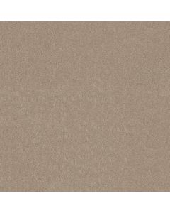 Shaw PERFECTLY TIMED French Canvas Carpet - SH-5572G-00102