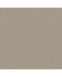 Shaw PERFECTLY TIMED Soft Chamois Carpet - SH-5572G-00103