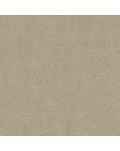 Shaw PERFECTLY TIMED Linen Carpet - SH-5572G-00104