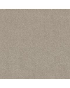 Shaw PERFECTLY TIMED Greige Carpet - SH-5572G-00106
