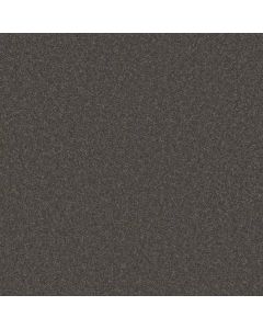 Shaw PERFECTLY TIMED Marble Gray Carpet - SH-5572G-00503