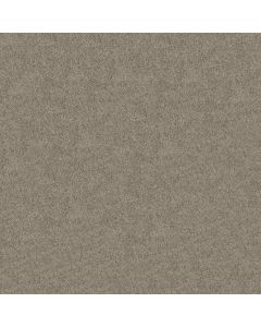 Shaw BEAUTIFULLY SIMPLE Mocha Cream Carpet - SH-5573G-00105