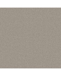 Shaw BEAUTIFULLY SIMPLE Catnip Carpet - SH-5573G-00114
