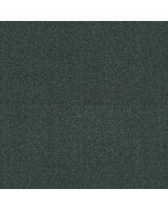 Shaw BEAUTIFULLY SIMPLE Seacliff Heights Carpet - SH-5573G-00300