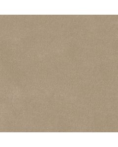 Shaw LUCKY YOU French Canvas Carpet - SH-5574G-00102