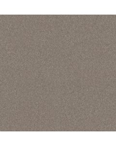 Shaw LUCKY YOU Mocha Cream Carpet - SH-5574G-00105