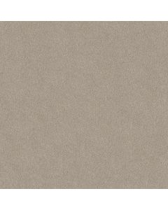 Shaw LUCKY YOU Greige Carpet - SH-5574G-00106