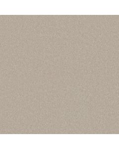 Shaw LUCKY YOU Mist Carpet - SH-5574G-00107