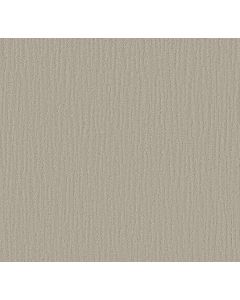 Shaw SUNBROOK Cold Water Carpet - SH-5575G-00510