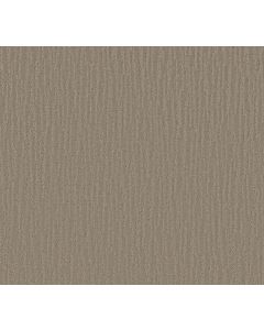 Shaw SUNBROOK Valley Mist Carpet - SH-5575G-00523