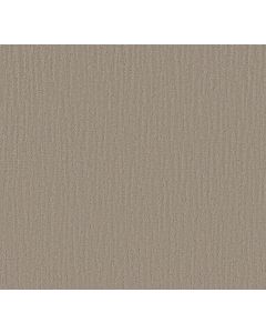 Shaw SUNBROOK Silver Leaf Carpet - SH-5575G-00541