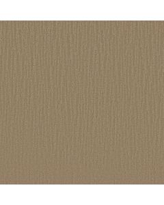 Shaw SUNBROOK Sable Carpet - SH-5575G-00754