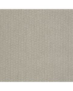 Shaw TROON NORTH Silver Leaf Carpet - SH-5576G-00541