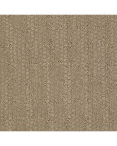 Shaw TROON NORTH Sable Carpet - SH-5576G-00754