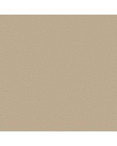 Shaw WHY NOT ME Cream Puff Carpet - SH-5581G-00111