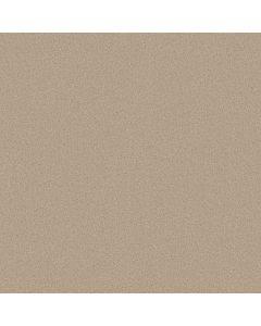 Shaw WHY NOT ME All Natural Carpet - SH-5581G-00112