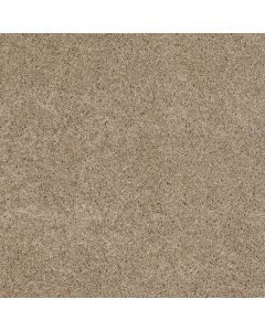 Shaw WHY NOT ME Slate Carpet - SH-5581G-00701