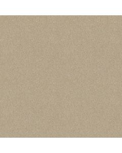 Shaw LACONA 12' Ivory Tint Carpet - SH-5C161-55101