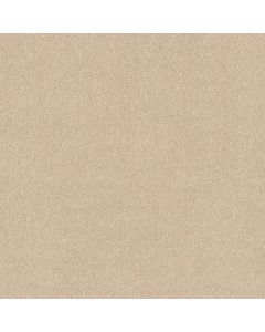 Shaw LACONA 12' Vanilla Custard Carpet - SH-5C161-55151
