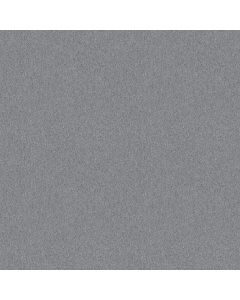 Shaw LACONA 12' Silver Bay Carpet - SH-5C161-55500
