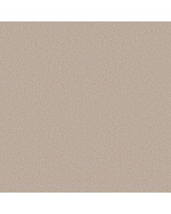 Shaw LACONA 15' Ivory Tint Carpet - SH-5C162-55101