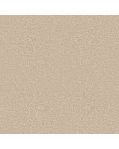 Shaw LACONA 15' Vanilla Custard Carpet - SH-5C162-55151