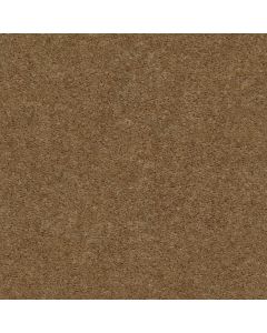 Shaw INSPIRATIONAL Charred Hickory Carpet - SH-5C329-00720