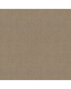 Shaw INSPIRATIONAL Winter Milk Carpet - SH-5C329-00741