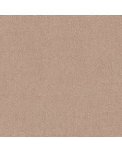 Shaw MAIDEN WAY II 12' Sheer Ecru Carpet - SH-5C486-00153