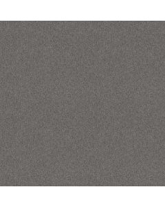Shaw MAIDEN WAY II 12' Flannel Carpet - SH-5C486-00511