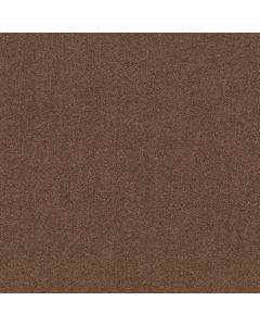Shaw MAIDEN WAY II 12' Owl Carpet - SH-5C486-00791