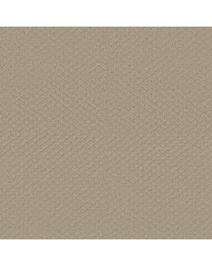 Shaw TOWNELAKE Frost Carpet - SH-5C553-00104
