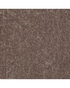 Shaw LARIMORE 12' Shale Carpet - SH-5C577-00703