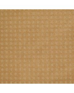 Shaw NEW HOME PLACE Wheat Carpet - SH-5C586-00201