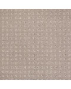 Shaw NEW HOME PLACE Grey Dove Carpet - SH-5C586-00500